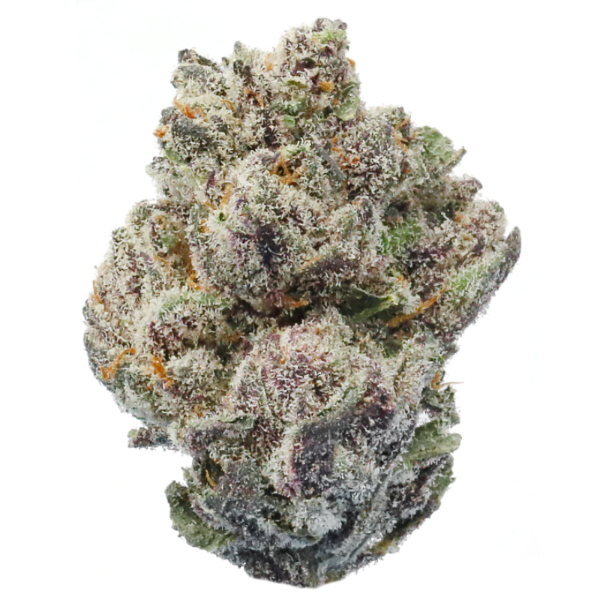 Bacio Gelato THCa Flower 1/8 oz Best Price