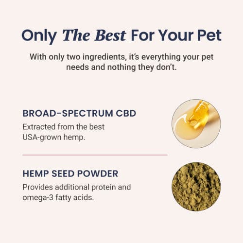 Holistapet CBD Capsules for Dogs and Cats Best Price