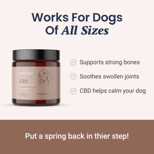 Holistapet CBD Mobility Chews for Dogs Best Price