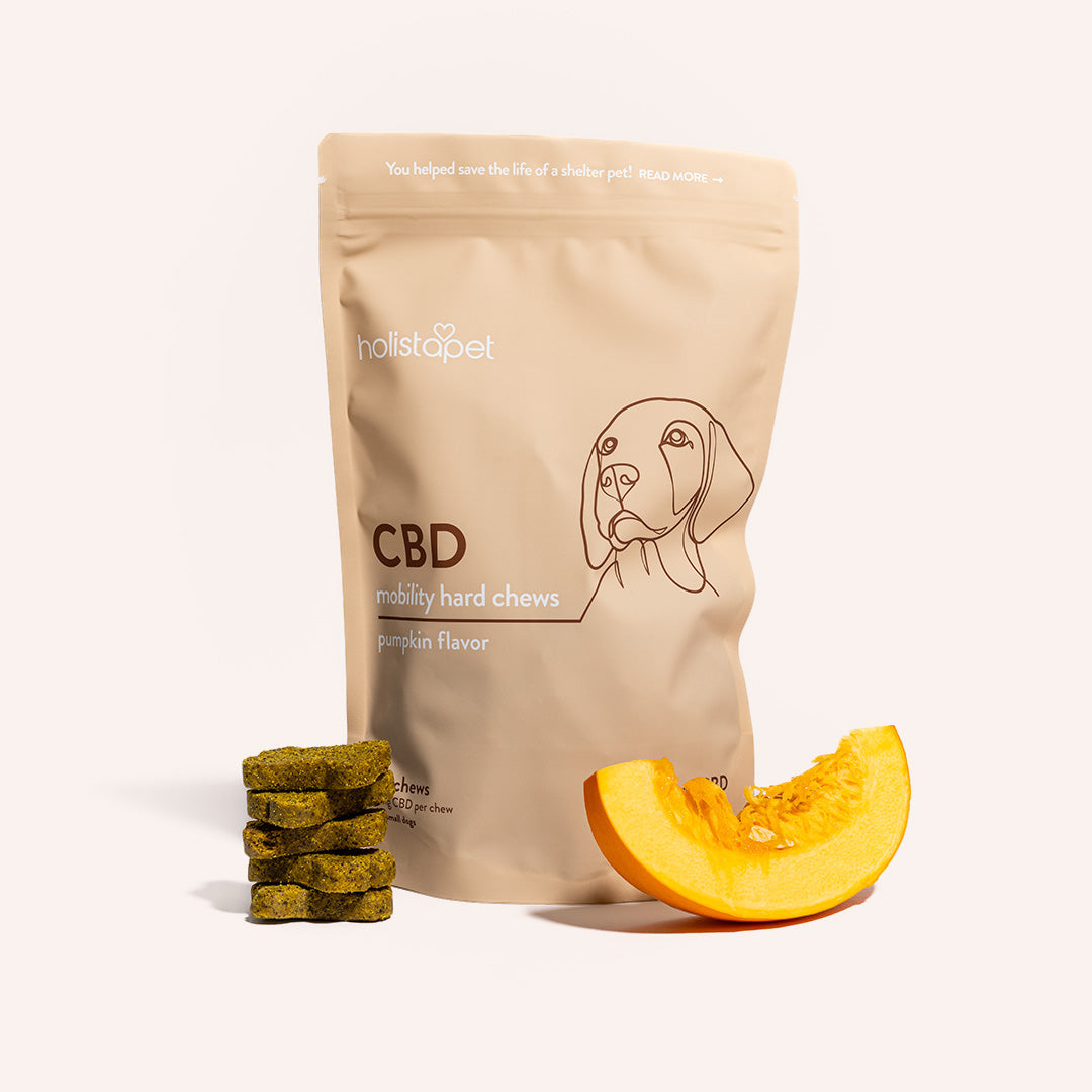 Holistapet CBD Dog Treats + Joint and Mobility Care Best Price