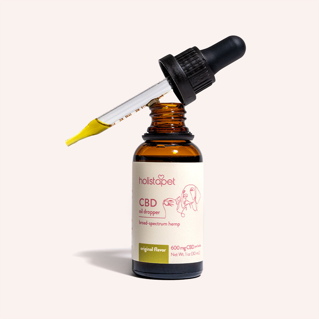 Holistapet CBD Oil for Cats Best Price