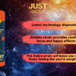 Just Delta - Delta 8 Disposable Cartridge 1000mg Zkittlez