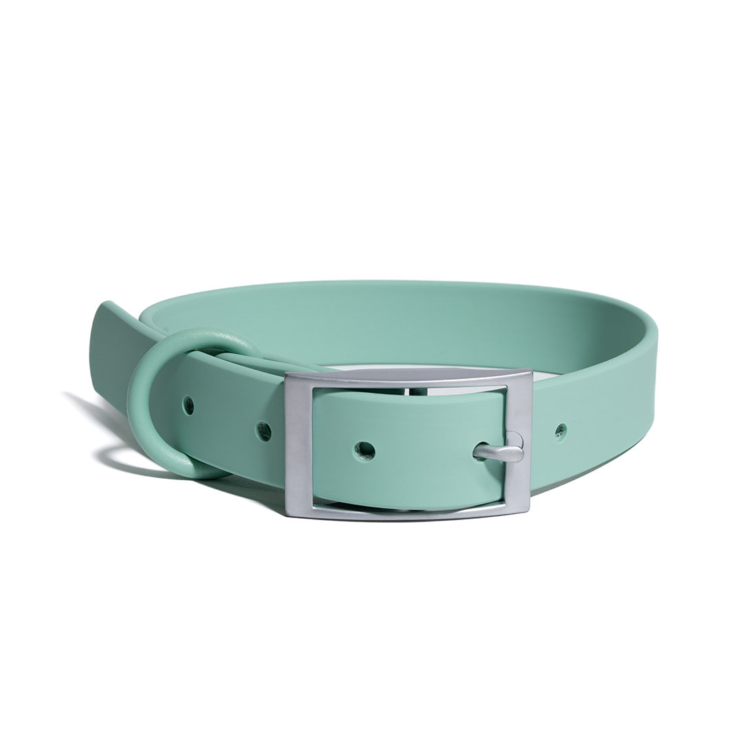 Holistapet Dog Collars Best Price