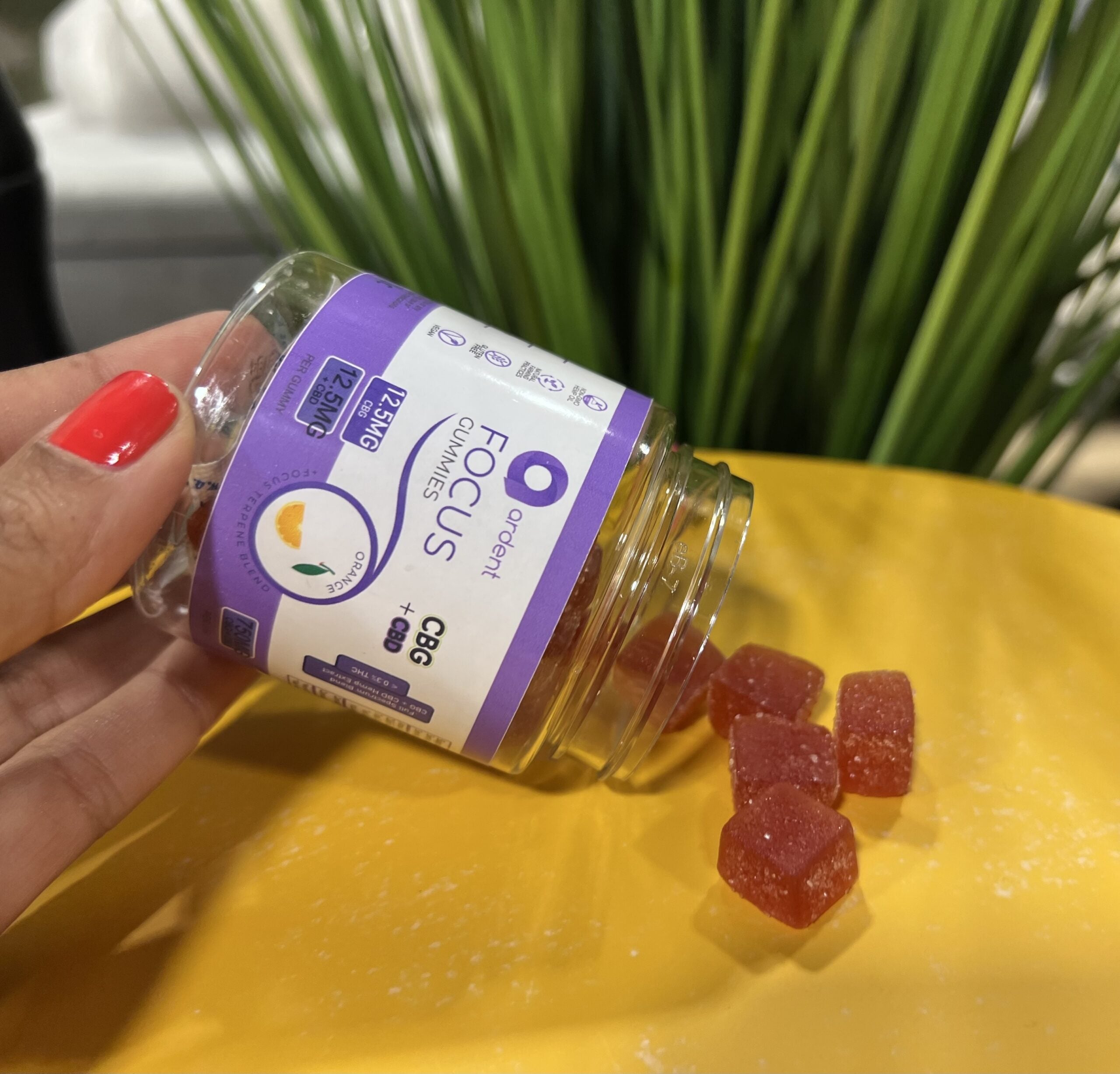 Ardent CBG & CBD Focus Gummies Best Price