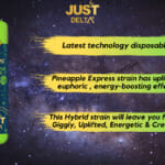 Just Delta - Delta 8 Disposable Cartridge 1000mg Pineapple Express