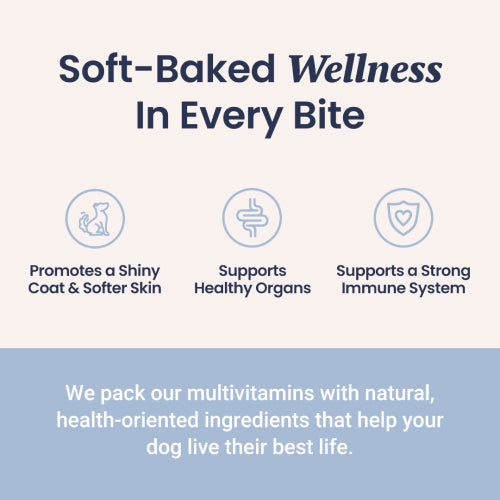 Holistapet Multivitamin Soft Chews For Dogs Best Price