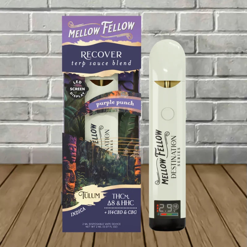 Mellow Fellow Terp Sauce Destination Blend Disposable 2g Best Price