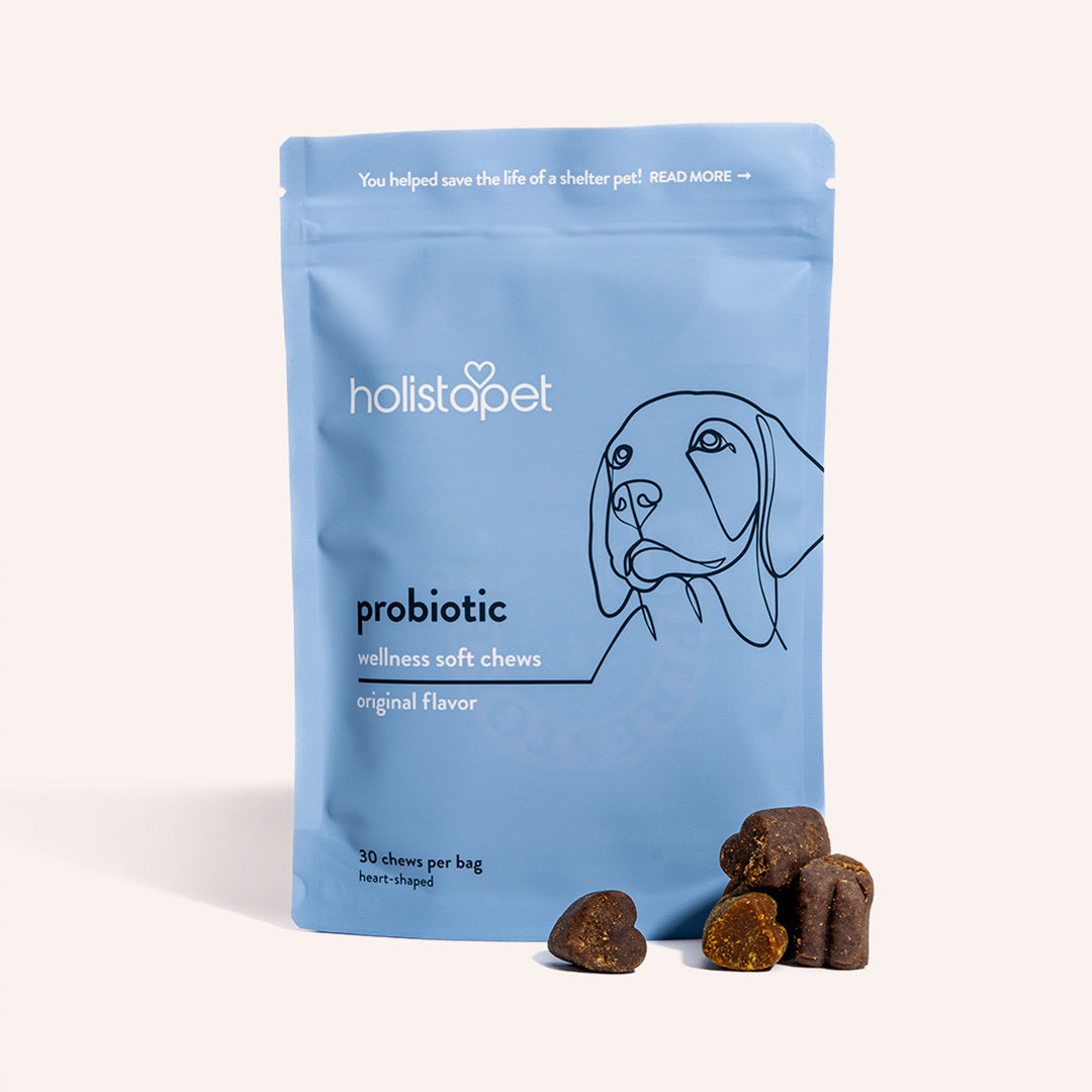 Holistapet Probiotics For Dogs [Soft Chews] Best Price