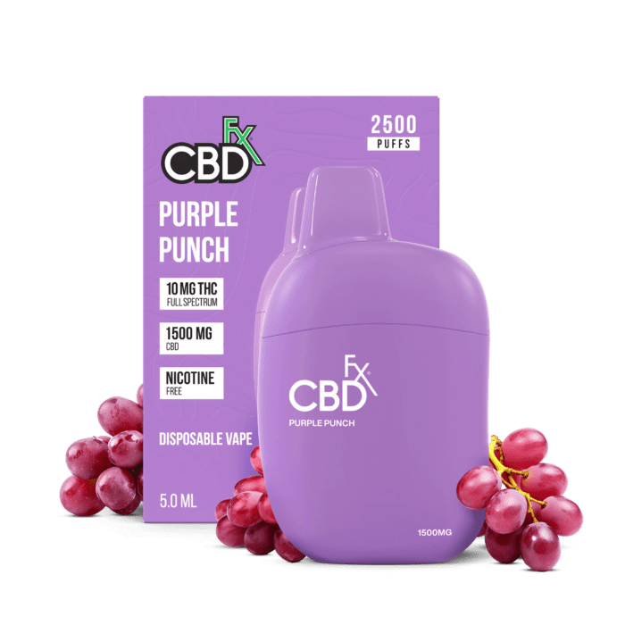 CBDFX THC + CBD Disposable Vape - 5g Best Price