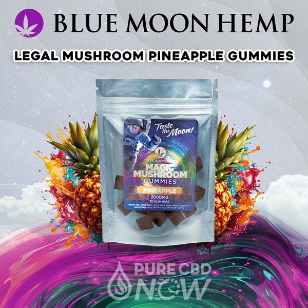 Blue Moon Hemp Legal Mushroom Pineapple Gummies 2000mg (10ct) Best Price