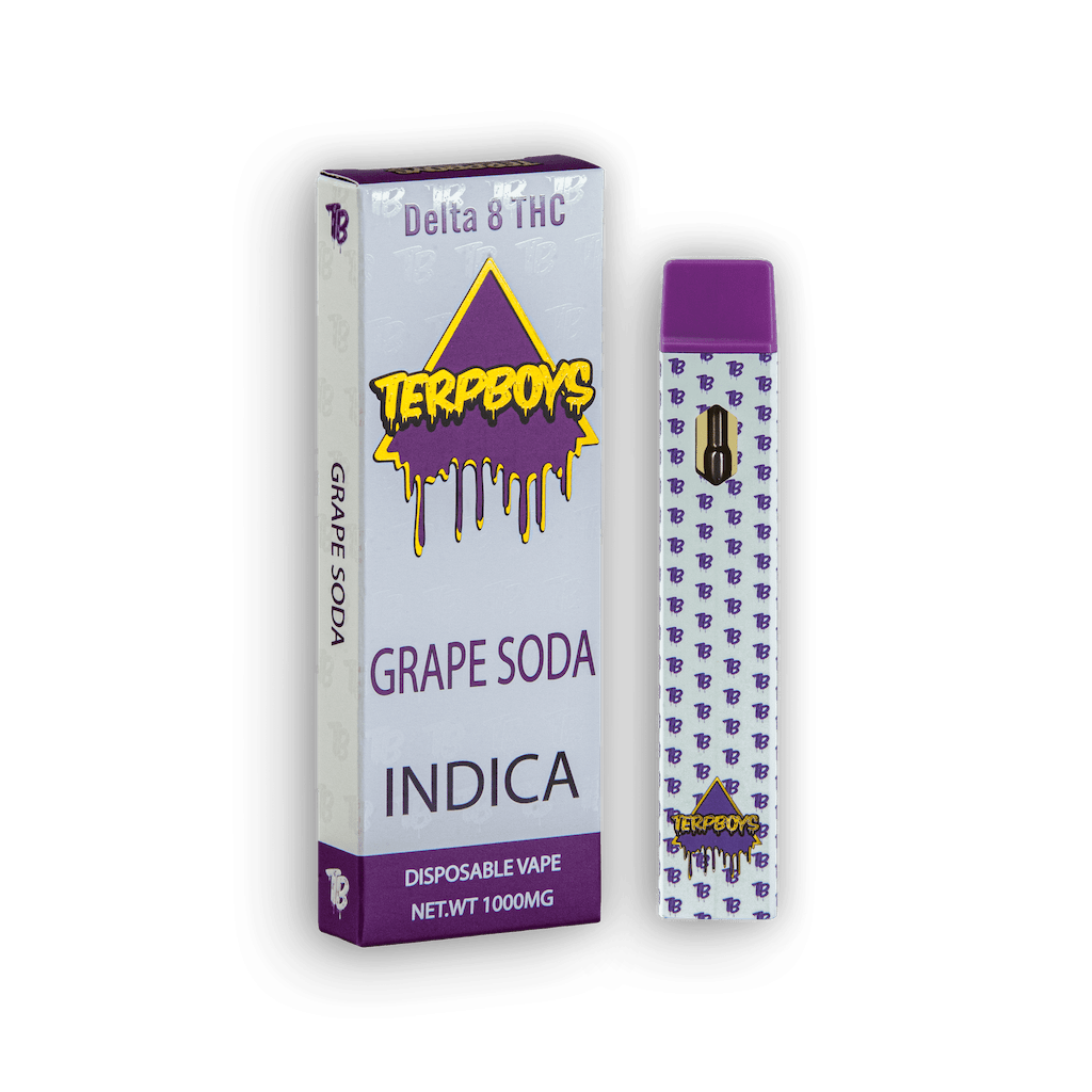 TerpBoys Indica HHC Disposable Vapes 1000mg Best Price