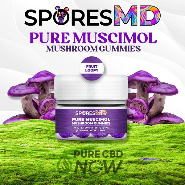 SporesMD Pure Muscimol Gummies 50mg Total Best Price