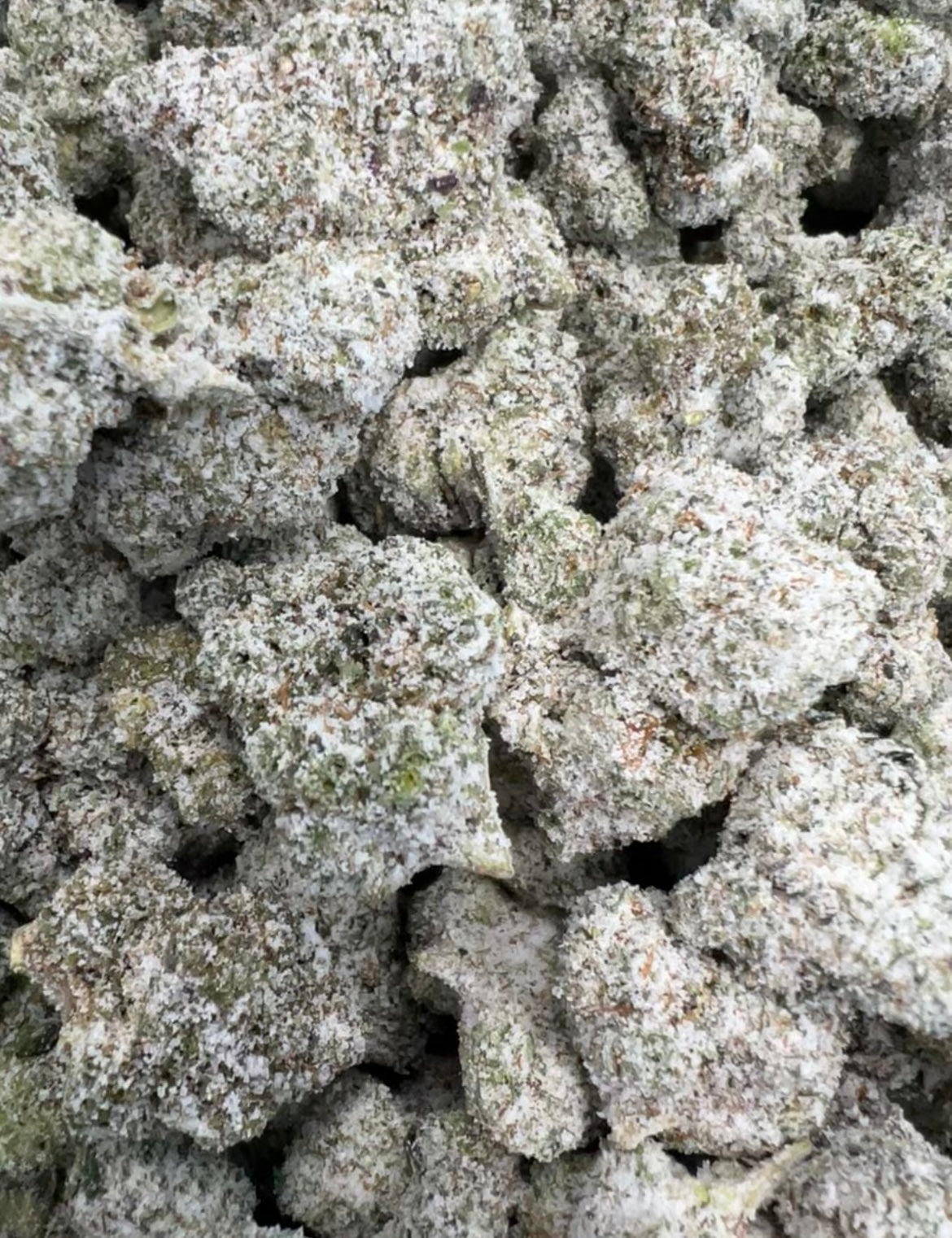 THCA FLOWER - XHALE - SNOWCAPS - 3.5G Best Price